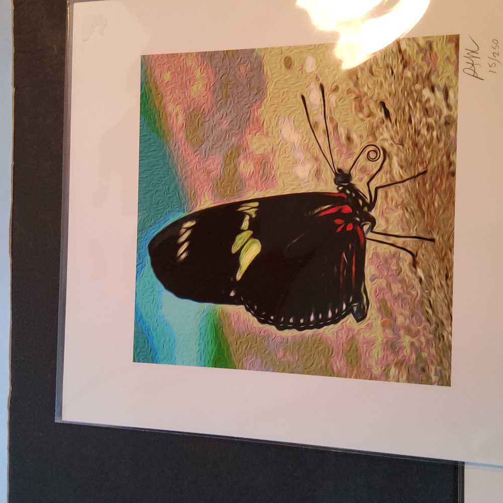 Butterfly print 15/250 Peter James Maurer - Picture 2 of 8